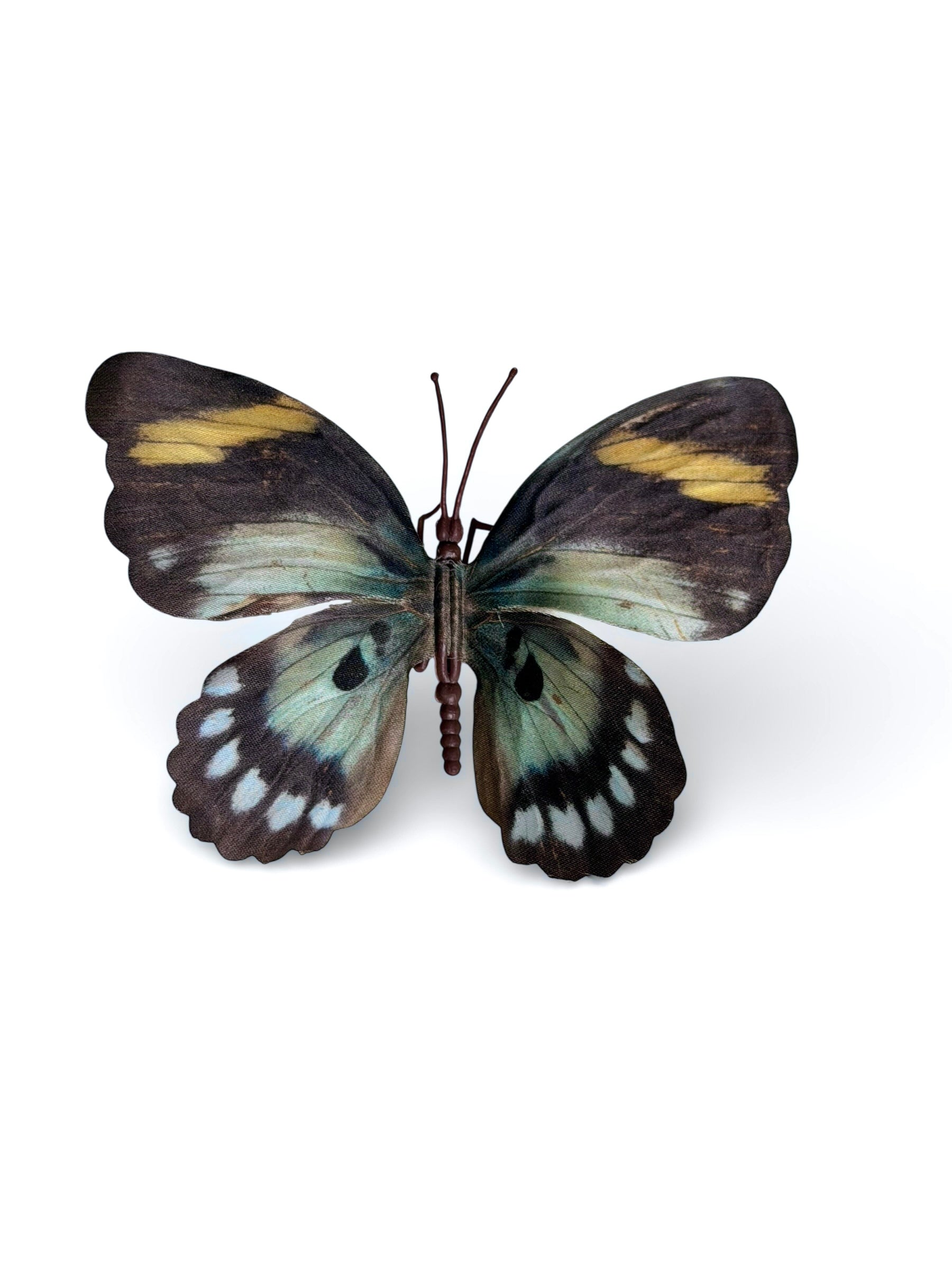 Butterfly Effect