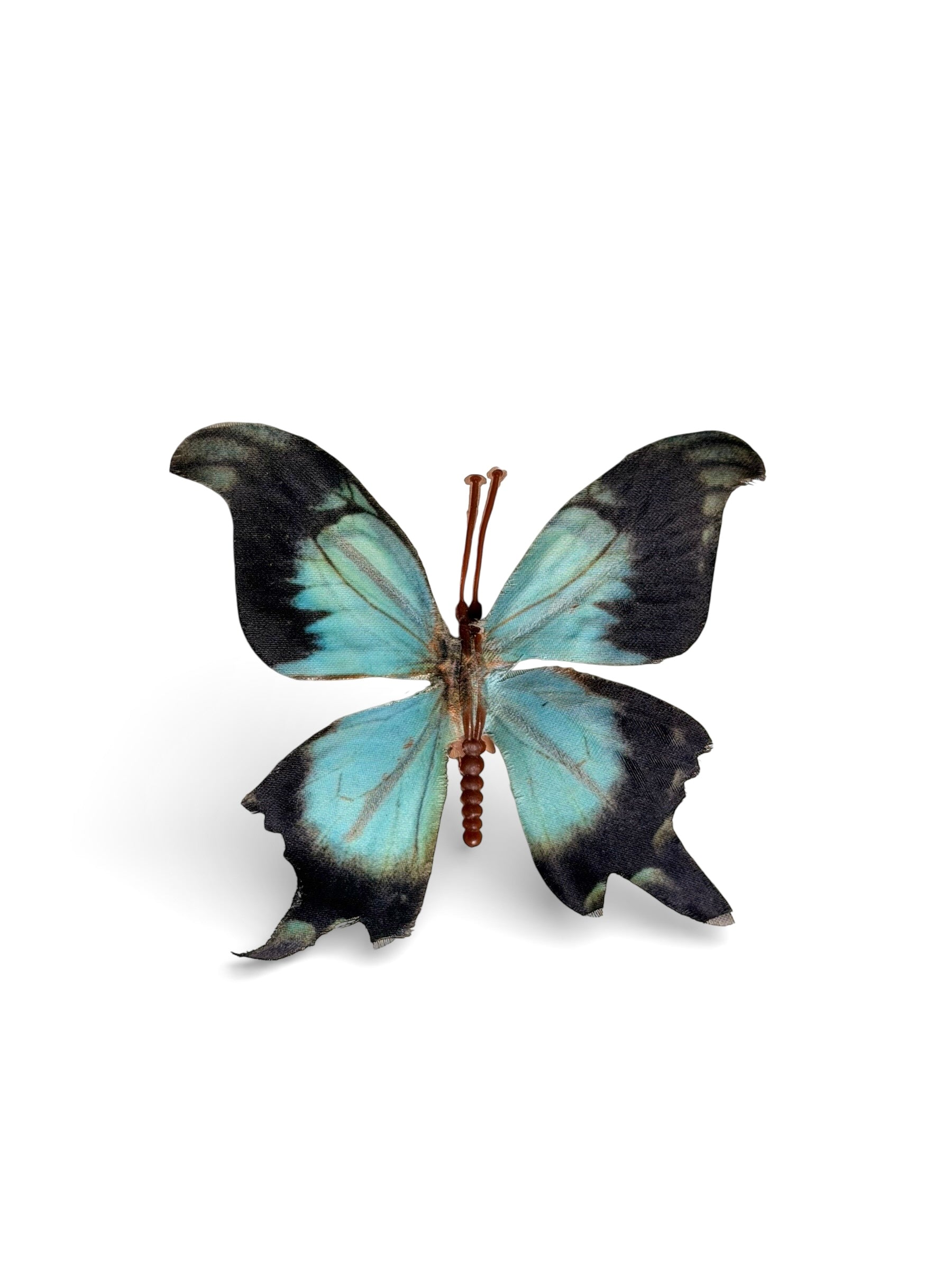 Dangerous Wings