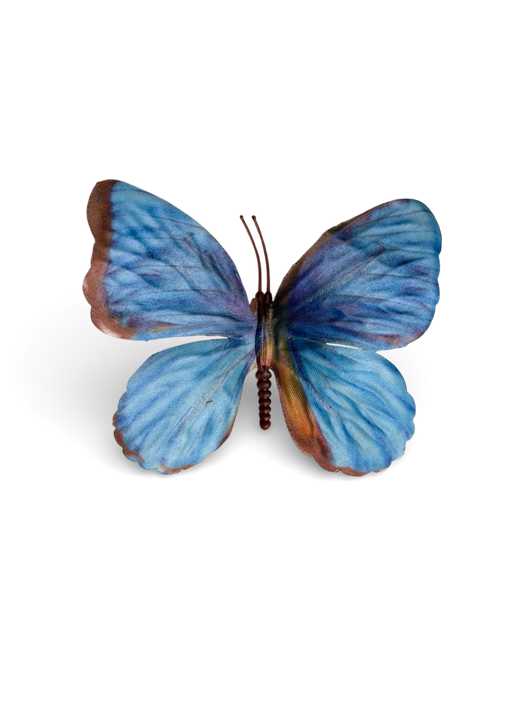 Celeste Flutter