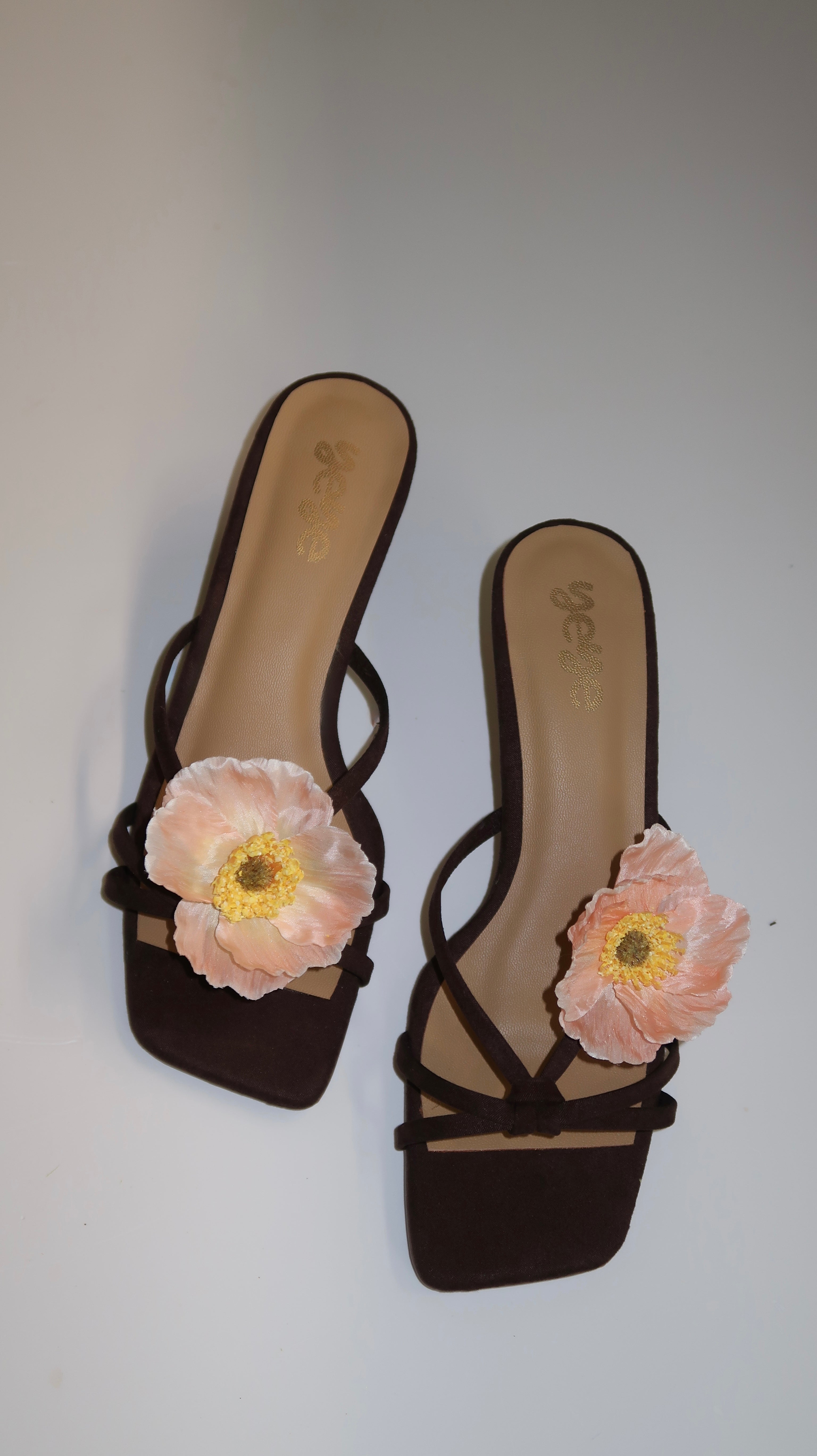 Coral windflower - Kitten Heel