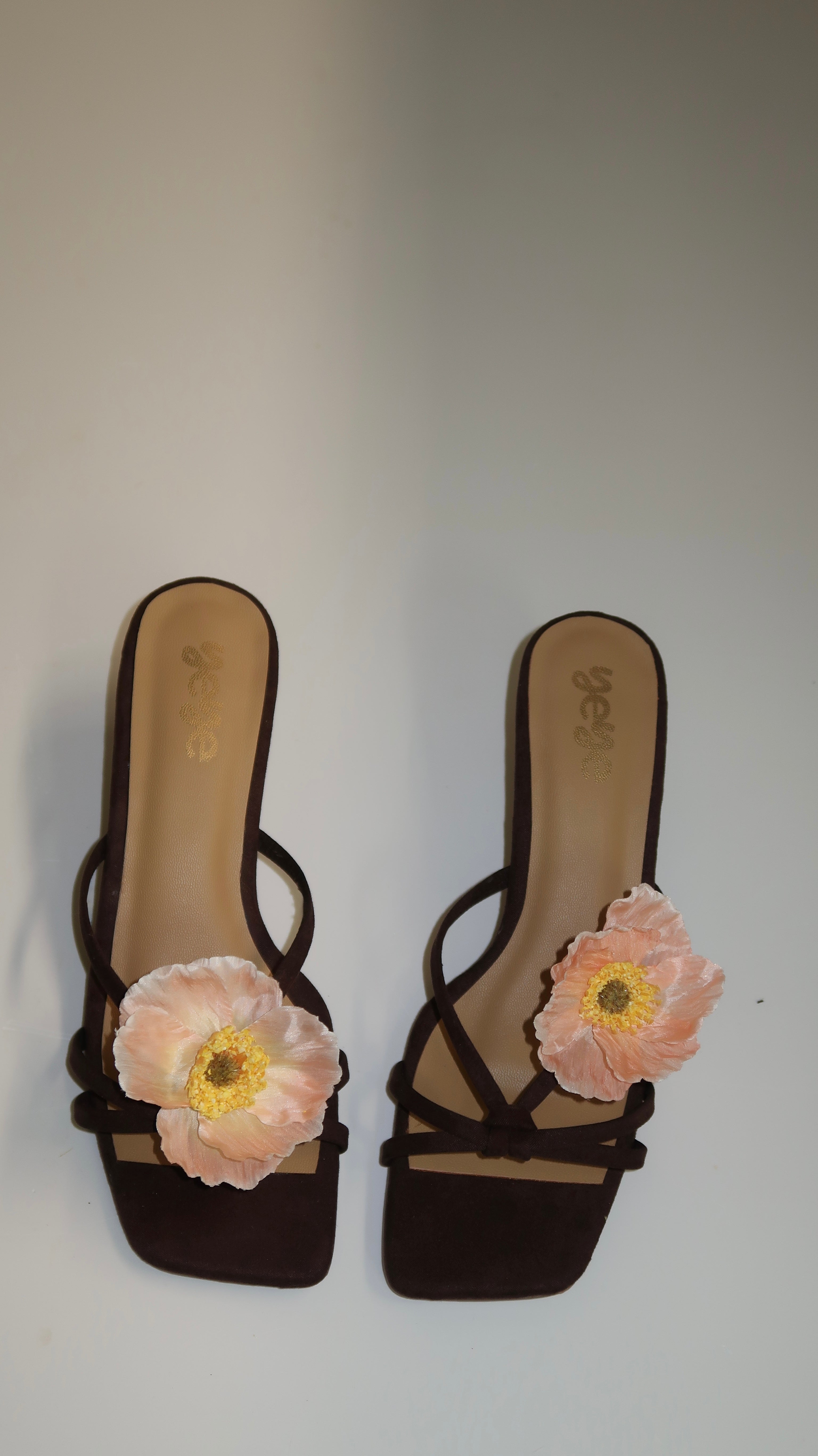 Coral windflower - Kitten Heel