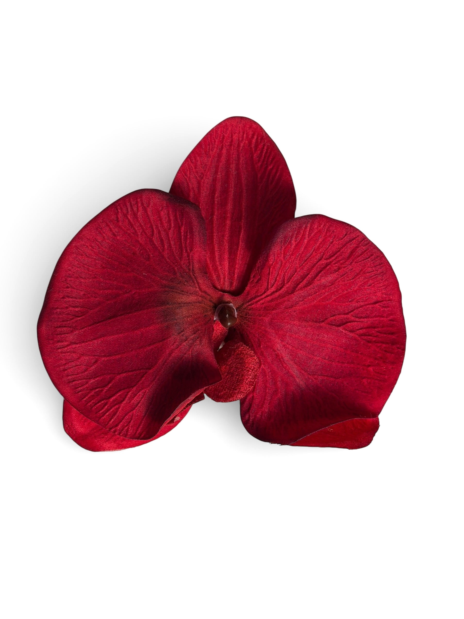 Red Orchid