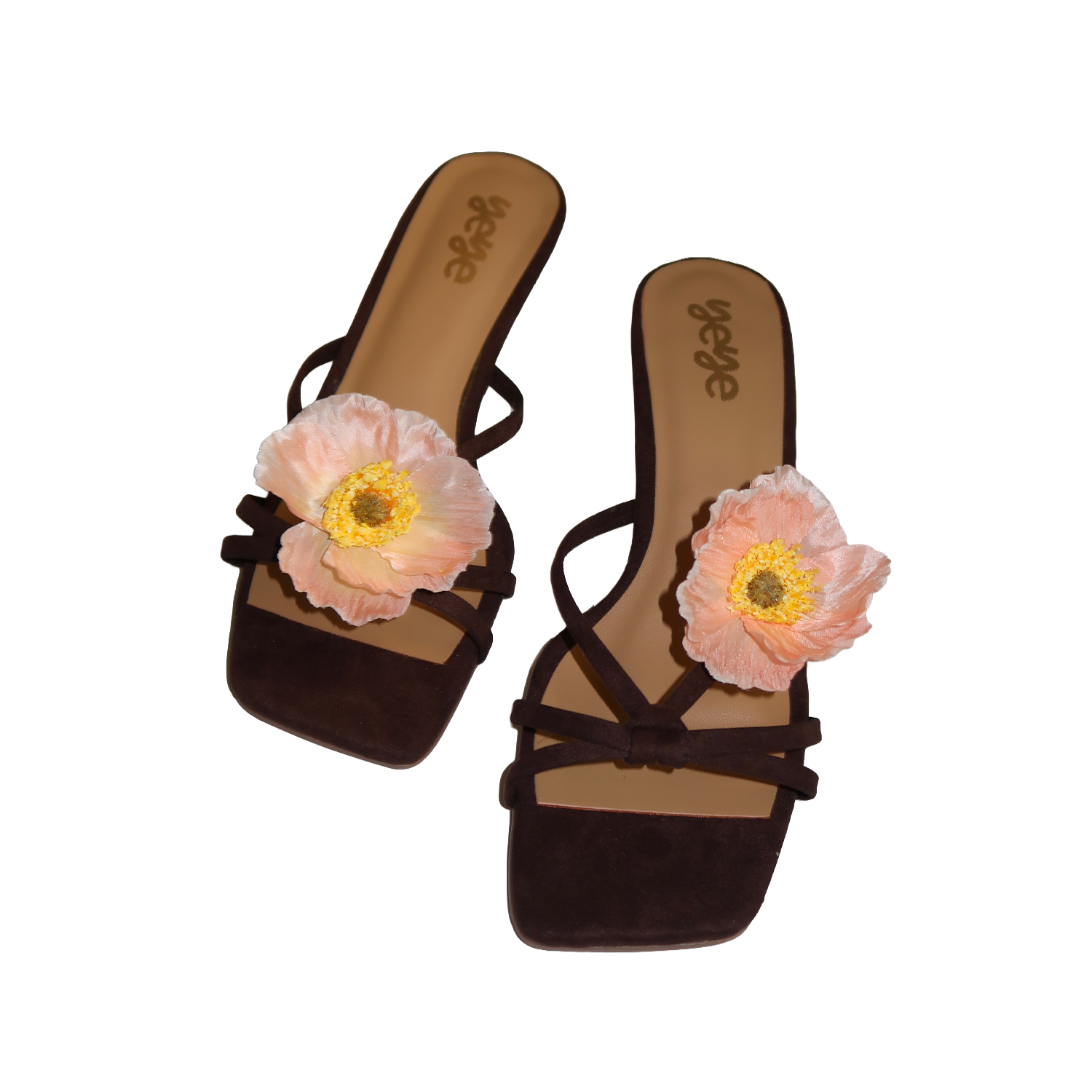 Coral windflower - Heel