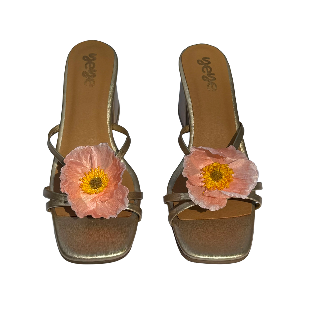 Coral windflower - Heel